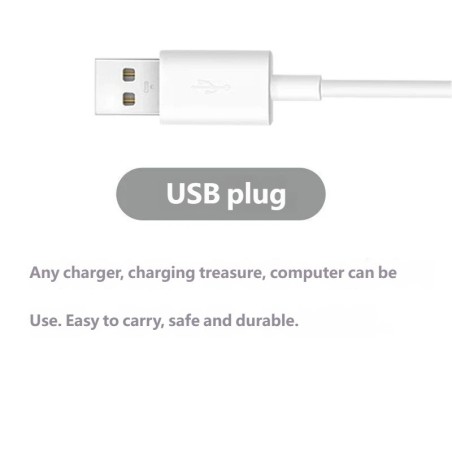 Custom Soccer Team Style Photo Frame Light Decorative Ornament