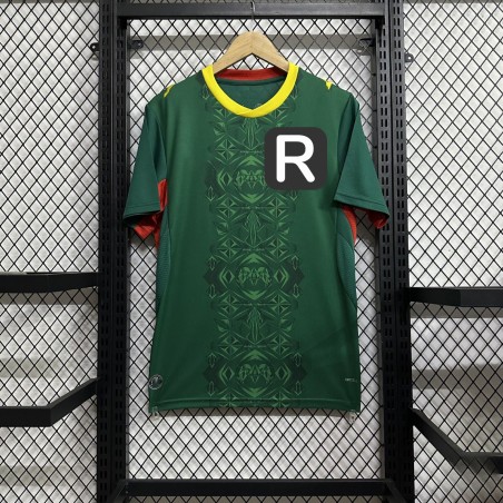 2026 Custom African Soccer Fan Jerseys Personalized Supporter Shirts for International Football Events